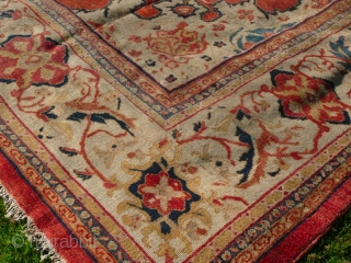 Sultanabad Ziegler, great looking carpet and good size: 14'.4" x 12'.8". Condition, there are a couple of areas of wear and bit of tidying needed, otherwise good original antique piece.   