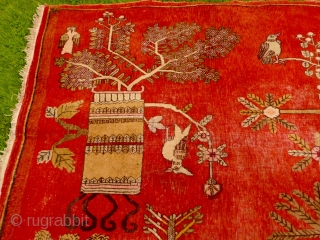 Charming 1930's Khotan 'landscape' rug decorated with trees, vases and birds - convincing enough to make a cat curious (see image 5). Condition, some areas of wear and old moth damage but  ...