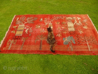 Charming 1930's Khotan 'landscape' rug decorated with trees, vases and birds - convincing enough to make a cat curious (see image 5). Condition, some areas of wear and old moth damage but  ...