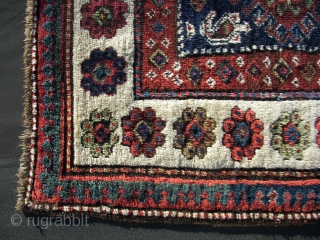 Borchali, 19th.C.  With exuberant colors, all natural. Condition B\C .Wool on wool .And a raw White. Ca. 310 x 110 cm. Some old repairs in the field.,cleaned and washed. A main  ...