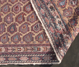 . Afshar sumak horse cover fragment. Wool on wool.  Ca. 137 x 108 cm. Good overall condition. Ends secured . First half 20th.C. Boteh bewilderment with folks and some birds .  ...