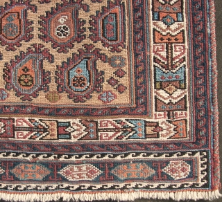 . Afshar sumak horse cover fragment. Wool on wool.  Ca. 137 x 108 cm. Good overall condition. Ends secured . First half 20th.C. Boteh bewilderment with folks and some birds .  ...