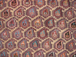 . Afshar sumak horse cover fragment. Wool on wool.  Ca. 137 x 108 cm. Good overall condition. Ends secured . First half 20th.C. Boteh bewilderment with folks and some birds .  ...