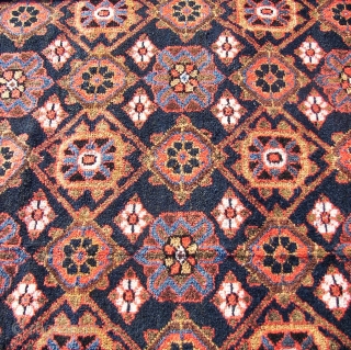  All lavish thick pile of soft wool, with a plenitude of Mina Khani motifs , first half 20th cent.  Luri, ? Kurdish ? My guess it s Kurdish. Washed and  ...