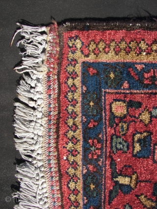Bachtiar allover Boteh-Fest, wool on cotton, good condition,original top and bottom ends with fringes,sides rewrapped, (... i think ) ca 1930. 155/165 x 230 cm.Washed ,rinsed ( and rinsed,and again.. ) and  ...