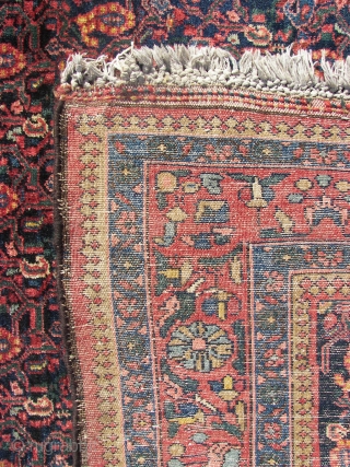 Bachtiar allover Boteh-Fest, wool on cotton, good condition,original top and bottom ends with fringes,sides rewrapped, (... i think ) ca 1930. 155/165 x 230 cm.Washed ,rinsed ( and rinsed,and again.. ) and  ...