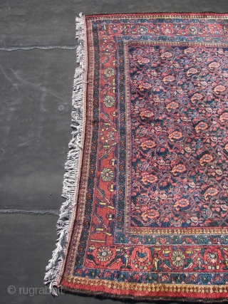 Bachtiar allover Boteh-Fest, wool on cotton, good condition,original top and bottom ends with fringes,sides rewrapped, (... i think ) ca 1930. 155/165 x 230 cm.Washed ,rinsed ( and rinsed,and again.. ) and  ...