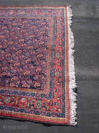 Bachtiar allover Boteh-Fest, wool on cotton, good condition,original top and bottom ends with fringes,sides rewrapped, (... i think ) ca 1930. 155/165 x 230 cm.Washed ,rinsed ( and rinsed,and again.. ) and  ...