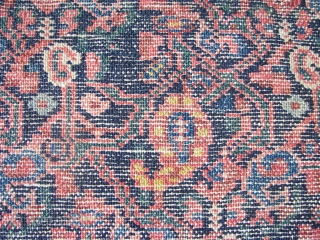 Bachtiar allover Boteh-Fest, wool on cotton, good condition,original top and bottom ends with fringes,sides rewrapped, (... i think ) ca 1930. 155/165 x 230 cm.Washed ,rinsed ( and rinsed,and again.. ) and  ...