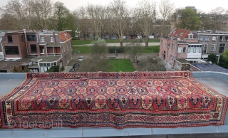 Woolly Azeri / Azerbeijan ,Caucasian ,ca. 305 cm x 140 cm. Full piled, in gooood overall condition. Wool on wool, hard flat back & thick piled . First quarter 20th.Cent. A few  ...