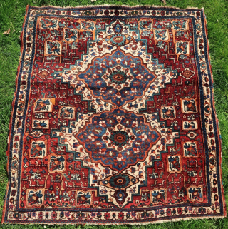 Afshar , with a plethora of animals on display . Wool on wool, ca; 110 x 125 cm. (.Original guardborders ,top and bottom ends secured. )       