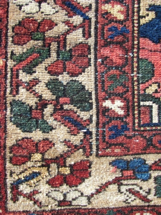 Bachtiar . Old  . ca. 195 cm. x 136 cm.  Wool on cotton.  5 cm. From top and bottom guard border missing.  Backside stitched with cotton band.   ...