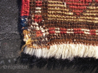 Longhaired Caucasian,with a three row selvage. Moghan ? Kazak ? Wool on wool. Old, ca:1920. ca. 240 cm. x 145 cm. Bird/animal motifs and Memling guls on the inner field. Thick ,lush  ...