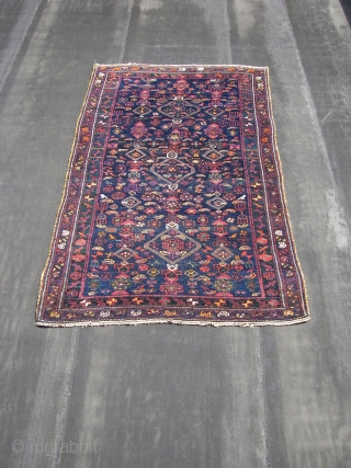 Maybe.. Khamseh.  Wool on wool, there is no goathair in it.  Old , ca. 245 cm. x 115 cm.            