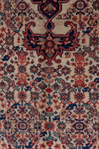 Mahal Carpet

8.11 x 12.3
2.47 x 3.74

A navy four pendanted medallion dominates the old ivory field with a small floral pattern organised around eleven vertical staves. Rosettes, laves and little palmettes figure in  ...