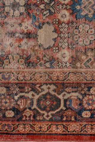 Mahal Carpet

8.6 x 12.7
2.62 x 3.87

This shabby chic condition carpet shows a madder field with larger and smaller rosettes, little botehs and chevron-detailed palmettes. The corroded brown border shows a classic turtle  ...