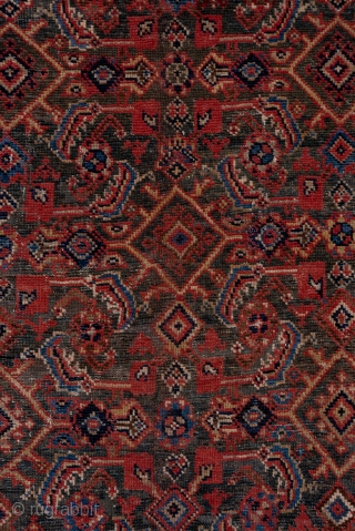 Mahal Carpet

9.0 x 12.5
2.74 x 3.18

An ivory detailed allover Herati design fills the green field of this attractive west Persian rural carpet. The ivory main border employs the triple posy "tangerine flower"  ...