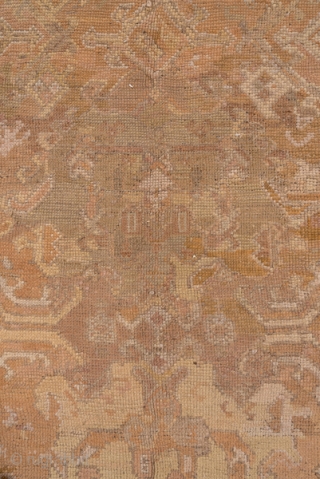 Oushak 

12.0 x 13.8 
3.65 x 4.20

The all over large scale pattern on this rug is an adaption of a seventeenth century "Smyrna" design, upsized and given a subtle palette. The complementary  ...