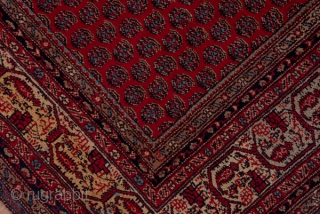 Saraband Carpet

12.2 X 16.0
3.71 X 4.87

In the iconic central Persian Saraband design, offset rows of floriated botehs decorate the red field while the equally  classic ivory border shows a faceted vine  ...