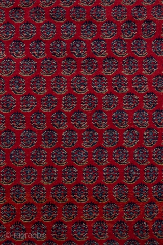 Saraband Carpet

12.2 X 16.0
3.71 X 4.87

In the iconic central Persian Saraband design, offset rows of floriated botehs decorate the red field while the equally  classic ivory border shows a faceted vine  ...