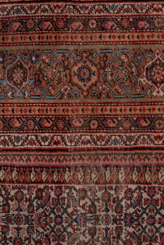 Mahal Carpet

13.6 x 18.0
4.14 x 5.48

The ivory field shows a small scale, close Herati allover pattern within a rosy brown turtle palmette border and minors patterned with two styles of boteh ornament.  ...