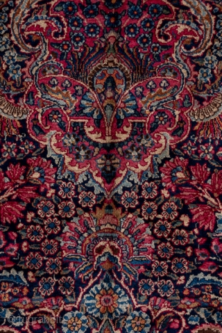 Kerman Carpet

8.10 x 17.0 
2.46 x 5.28
This top condition 1930's SE Persian urban carpet has a dark blue field covered with a fantgasy of palmettes radiating peacock  tails of floral sprays,  ...