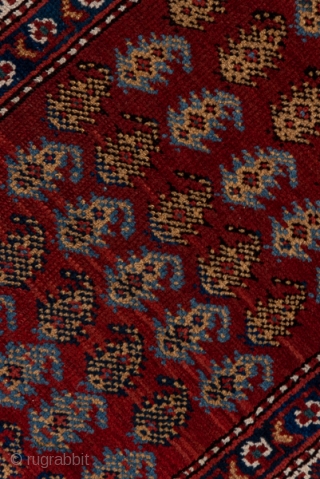Northwest Persian Runner

3.4 x 18.3
1.03 x 5.57

This attractive kenare shows offset rows of floriated botehs in light blue, medium blue, ivory and goldenrod on an abrashed rich red ground.  The ivory  ...