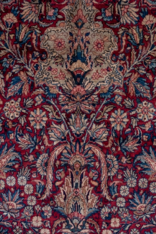 Kerman Carpet

9.9 x 16.11
3.01 x 4.91

The natural scarlet cochineal red field is densely covered by a palmette, long leaf, boteh leaf and escutcheon allover, unidirectional  pattern. A variety of small flowers  ...