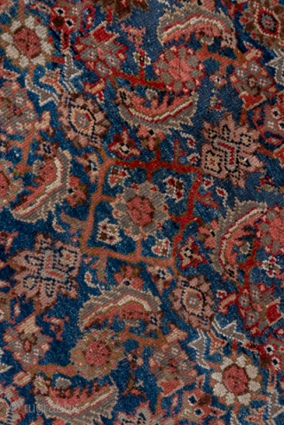 Mahal Carpet

10.8 x 12.9
3.29 x 3.93
 
The attractive abrashed cerulean blue field is neatly covered by a medium scale allover classic Herati pattern detailed in rust, ivory and green. The rust border  ...