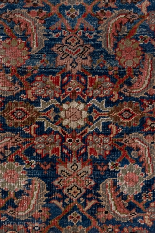 Mahal Carpet

10.8 x 12.9
3.29 x 3.93
 
The attractive abrashed cerulean blue field is neatly covered by a medium scale allover classic Herati pattern detailed in rust, ivory and green. The rust border  ...