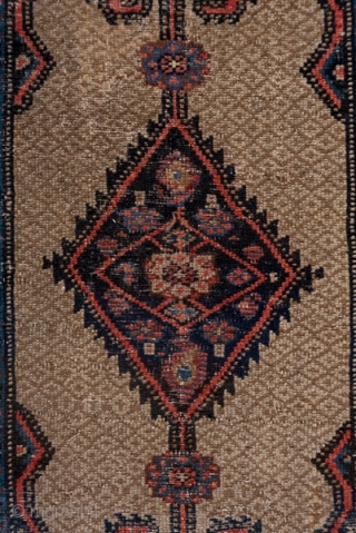 Hamadan Runner

2.10 x 14.3
0.64 x 4.35
 
This antique camel tone plain border runner  displays five black medallions with double hook pendants floating on a close lattice in camel and beige. The  ...