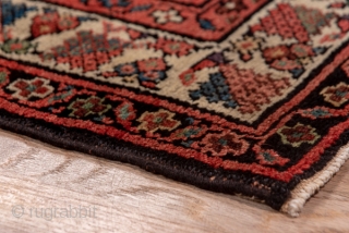 Malayer Runner

3.4 x 13.6
1.03 x 4.14
 
This west Persian village kenare shows a navy ground supporting a skeletal connected lozenge pattern with central ivory rosettes. The ecru main border features square palmettes  ...