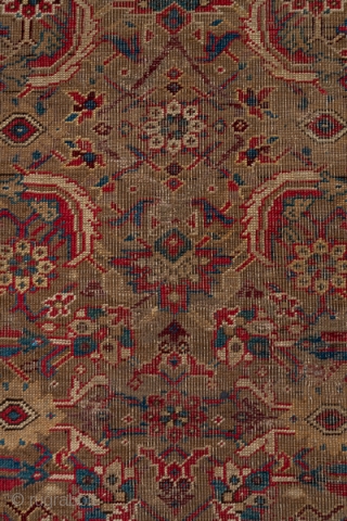 Karabagh Runner

3.1 by 14.9

The wine red main border displays ac colourful "crab" pattern and surrounds the rather worn   khaki field with its polychrome, elaborate Herati design.  This attractive south  ...
