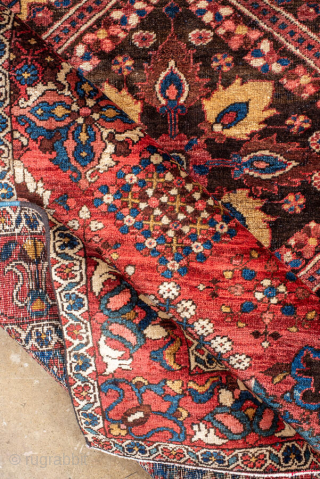 Antique Persian Bakhtiari Rug, circa 1920. Featuring a bold diamond medallion on a rich red field with indigo and ivory accents, framed by a lively floral border. Strong tribal character with vibrant, ...