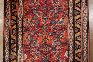 Antique Persian Bidjar Runner, Circa 1920. Finely woven allover Herati pattern across a vibrant terracotta field framed by richly detailed navy borders.
3'5" x 11'8"
Item No: 101910