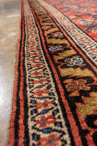 Antique Persian Bidjar Runner, Circa 1920. Finely woven allover Herati pattern across a vibrant terracotta field framed by richly detailed navy borders.
3'5" x 11'8"
Item No: 101910
