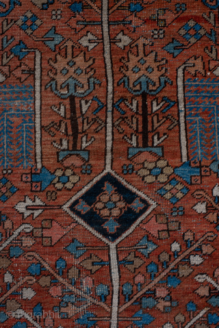 Antique Persian Serapi Carpet, Circa 1900. Showcases a rare allover Tree of Life design with stylized flowering trees and geometric motifs woven across a warm terracotta field.
8'0" x 10'9"
Item No: 97182