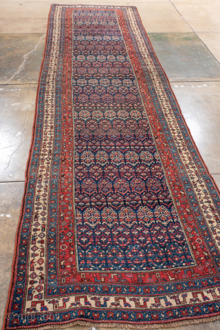 Antique Persian Bidjar Runner, Circa 1920. Finely woven allover Herati pattern set against a deep indigo field framed by crisp ivory and crimson floral borders.
3'7" x 13'9"
Item No: 99096
