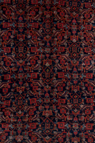 Antique Persian Bidjar Rug, Circa 1910. Richly detailed allover Herati design woven across a deep midnight blue field framed by an elegant terracotta floral border.
5'3" x 8'11"
Item No: 6947