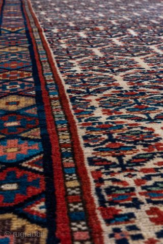 Antique Persian Bidjar Runner, Circa 1910. Rare allover Herati lattice woven across a warm ivory field framed by richly detailed terracotta and midnight blue borders.
2'9" x 15'9"
Item No: C90548