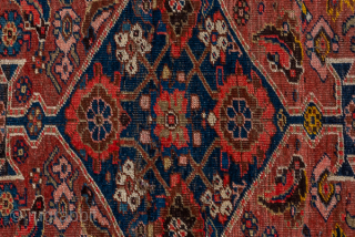 Antique Persian Bidjar Rug, Circa 1900. Richly detailed Herati field centered by a geometric diamond medallion and framed by a highly desirable ivory turtle border.
6'8" x 9'0"
Item No: C92135