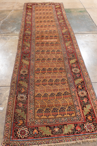 Antique Persian Bidjar Runner, Circa 1920. Finely detailed allover geometric floral design woven across a warm camel field framed by richly ornamented olive and terracotta borders.

3'2" x 11'3"

Item No: 98525   