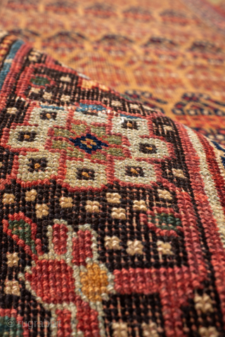 Antique Persian Bidjar Runner, Circa 1920. Finely detailed allover geometric floral design woven across a warm camel field framed by richly ornamented olive and terracotta borders.

3'2" x 11'3"

Item No: 98525   