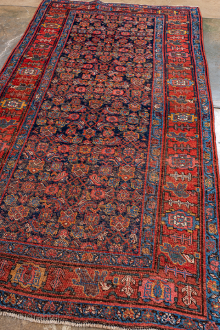 Antique Persian Bidjar Runner, Circa 1910. Finely woven allover Herati design across a deep midnight blue field framed by a bold terracotta tribal border.

4'6" x 8'7"

Item No: 99044     