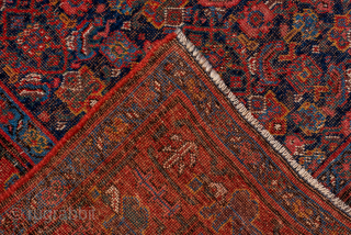 Antique Persian Bidjar Runner, Circa 1910. Finely woven allover Herati design across a deep midnight blue field framed by a bold terracotta tribal border.

4'6" x 8'7"

Item No: 99044     