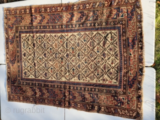 Rare Antique 19th c. Caucasian Dagestan Shirvan Rug.  Good Even Pile. See photos for condition, it has one area of fold wear, some loss to selvage, one small hole. Nice drawing  ...