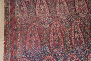 KHAMSHE , 251cmX160cm                              