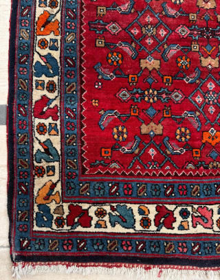 Late 19th century Persian Bidjar Rug. Cute size 117 x 137 cm. Please send me direct mail.
emreaydin10@icloud.com
Instagram - @emreaydinrug