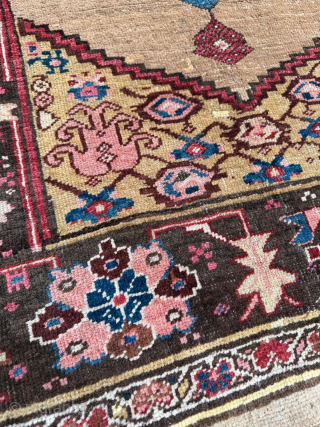 Late 19th century Bidjar Rug. Cute size 118 x 123 cm. Please send me direct mail.

emreaydin10@icloud.com

Instagram - @emreaydinrug               