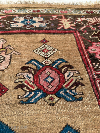 Late 19th century Bidjar Rug. Cute size 118 x 123 cm. Please send me direct mail.

emreaydin10@icloud.com

Instagram - @emreaydinrug               